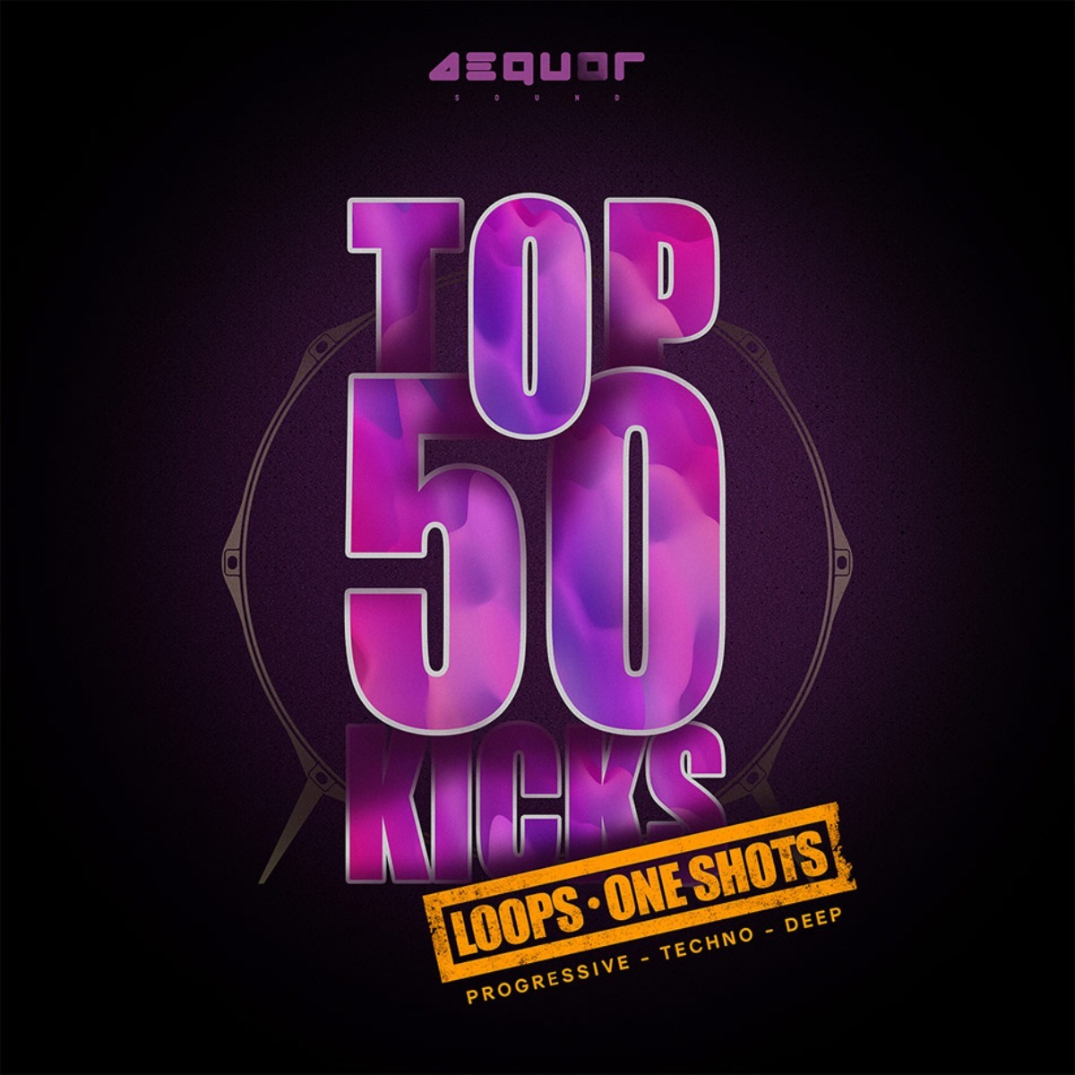 Aequor Sound - Top 50 Kicks Sample Packs Software GUI Artwork